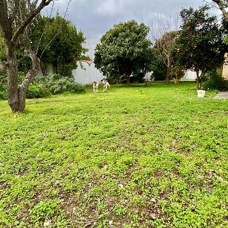 Salento Appartamenti Casalabate Bagian luar foto