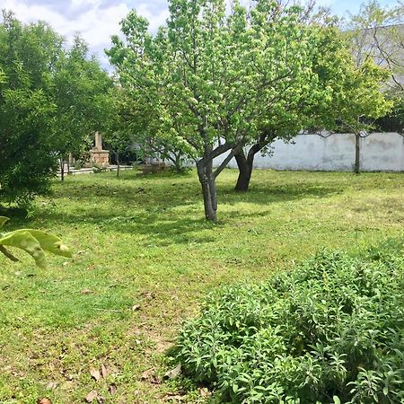 Salento Appartamenti Casalabate Bagian luar foto